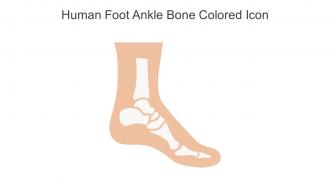Human Foot Ankle Bone Colored Icon In Powerpoint Pptx Png And Editable Eps Format