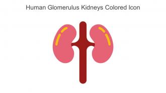 Human Glomerulus Kidneys Colored Icon In Powerpoint Pptx Png And Editable Eps Format