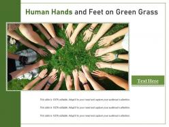 Human hands and feet on green grass