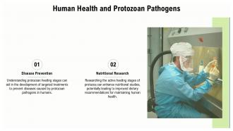 Human Health And Protozoan Pathogens Active Feeding PPT Outline ACP