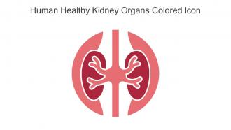 Human Healthy Kidney Organs Colored Icon In Powerpoint Pptx Png And Editable Eps Format