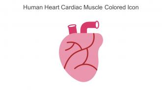 Human Heart Cardiac Muscle Colored Icon In Powerpoint Pptx Png And Editable Eps Format