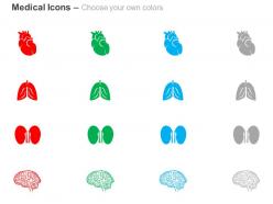 Human heart lung kidney brain ppt icons graphics