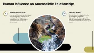 Human Influence On Amensalistic Relationships PPT Slides ACP