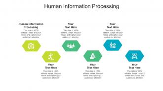 Human information processing ppt powerpoint presentation layouts sample cpb