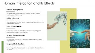 Human Interaction And Its Effects Ectothermic Poikilotherms PPT Designs ACP
