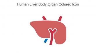 Human Liver Body Organ Colored Icon In Powerpoint Pptx Png And Editable Eps Format