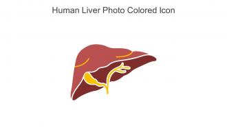 Human Liver Photo Colored Icon In Powerpoint Pptx Png And Editable Eps Format