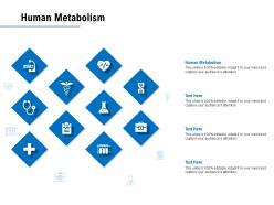 Human metabolism ppt powerpoint presentation infographics slide download