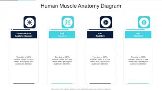 Human Muscle Anatomy Diagram In Powerpoint And Google Slides Cpb