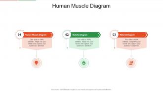 Human Muscle Diagram In Powerpoint And Google Slides Cpb