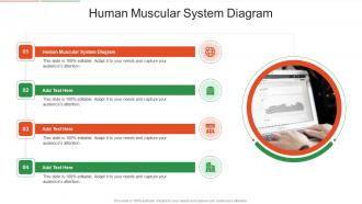Human Muscular System Diagram In Powerpoint And Google Slides Cpb