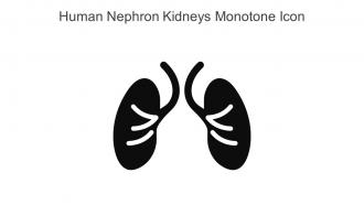 Human Nephron Kidneys Monotone Icon In Powerpoint Pptx Png And Editable Eps Format