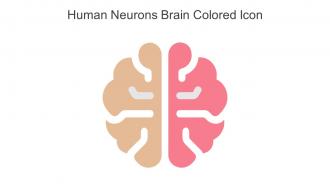 Human Neurons Brain Colored Icon In Powerpoint Pptx Png And Editable Eps Format