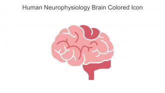 Human Neurophysiology Brain Colored Icon In Powerpoint Pptx Png And Editable Eps Format