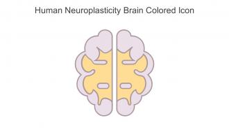 Human Neuroplasticity Brain Colored Icon In Powerpoint Pptx Png And Editable Eps Format