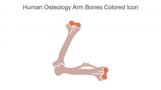 Human Osteology Arm Bones Colored Icon In Powerpoint Pptx Png And Editable Eps Format