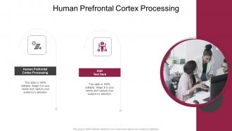 Human Prefrontal Cortex Processing In Powerpoint And Google Slides Cpb