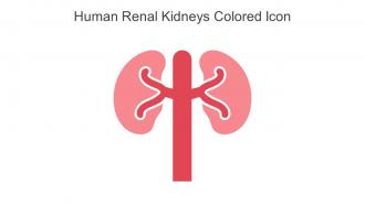 Human Renal Kidneys Colored Icon In Powerpoint Pptx Png And Editable Eps Format