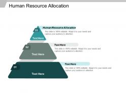 Human resource allocation ppt powerpoint presentation ideas graphics pictures cpb