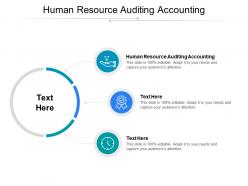 Human resource auditing accounting ppt powerpoint presentation styles templates cpb
