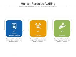 Human resource auditing ppt powerpoint presentation ideas graphics template cpb