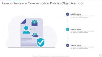 Human Resource Compensation Policies Objectives Icon
