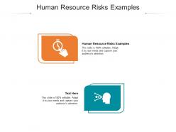 Human resource risks examples ppt powerpoint presentation portfolio icon cpb