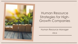 Human Resource Strategies For High Growth Companies PPT Example AT