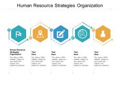 Human resource strategies organization ppt powerpoint presentation portfolio background image cpb