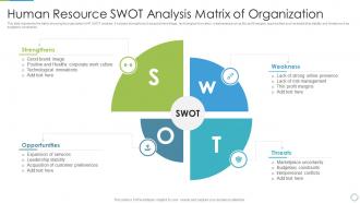 Human Resource SWOT Analysis Matrix Of Organization