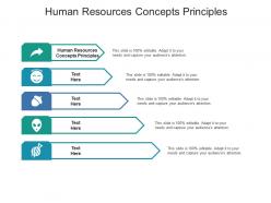 Human resources concepts principles ppt powerpoint presentation slides images cpb
