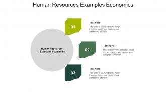 Human resources examples economics ppt powerpoint presentation outline samples cpb