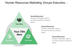 Human Resources Marketing Groups Executive Audit Management Analysis