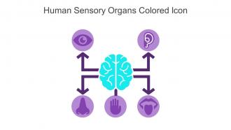 Human Sensory Organs Colored Icon In Powerpoint Pptx Png And Editable Eps Format