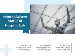 Human skeleton statue in hospital lab