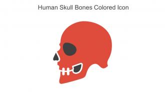 Human Skull Bones Colored Icon In Powerpoint Pptx Png And Editable Eps Format