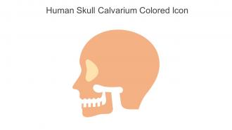 Human Skull Calvarium Colored Icon In Powerpoint Pptx Png And Editable Eps Format