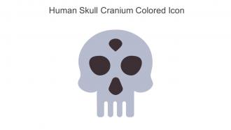 Human Skull Cranium Colored Icon In Powerpoint Pptx Png And Editable Eps Format