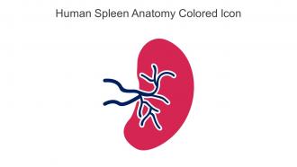 Human Spleen Anatomy Colored Icon In Powerpoint Pptx Png And Editable Eps Format