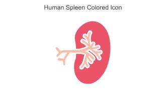 Human Spleen Colored Icon In Powerpoint Pptx Png And Editable Eps Format