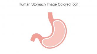 Human Stomach Image Colored Icon In Powerpoint Pptx Png And Editable Eps Format