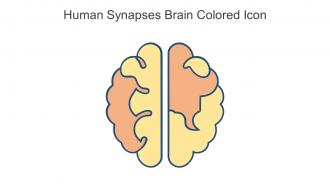 Human Synapses Brain Colored Icon In Powerpoint Pptx Png And Editable Eps Format
