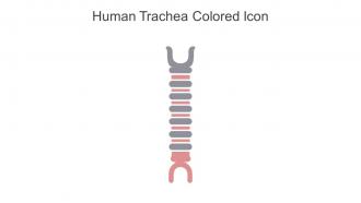 Human Trachea Colored Icon In Powerpoint Pptx Png And Editable Eps Format