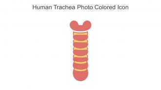 Human Trachea Photo Colored Icon In Powerpoint Pptx Png And Editable Eps Format