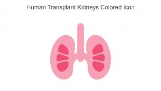 Human Transplant Kidneys Colored Icon In Powerpoint Pptx Png And Editable Eps Format