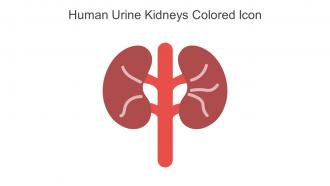Human Urine Kidneys Colored Icon In Powerpoint Pptx Png And Editable Eps Format