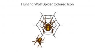 Hunting Wolf Spider Colored Icon In Powerpoint Pptx Png And Editable Eps Format