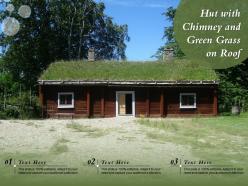 Hut with chimney and green grass on roof