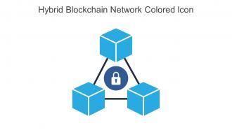 Hybrid Blockchain Network Colored Icon In Powerpoint Pptx Png And Editable Eps Format